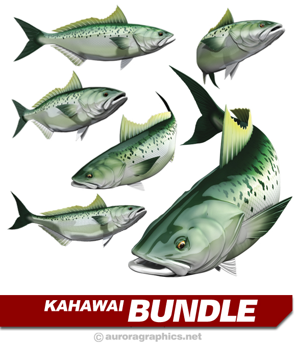 Kahawai
