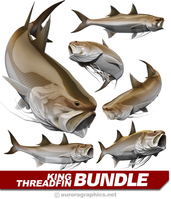 King Threadfin