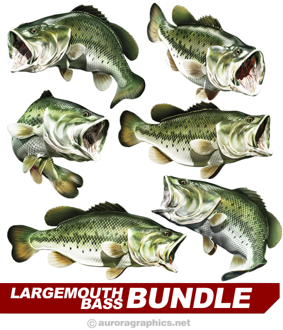 Largemouth Bass