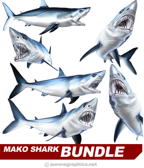 Mako Shark