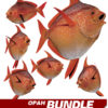 Opah