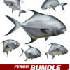 Permit