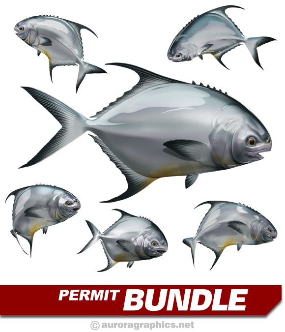 Permit