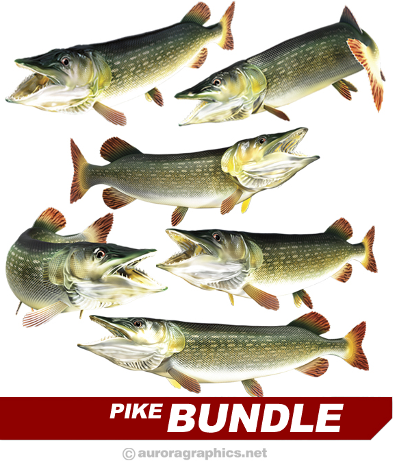Pike