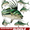 Roosterfish