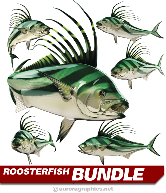 Roosterfish