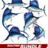 Sailfish
