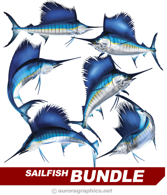 Sailfish