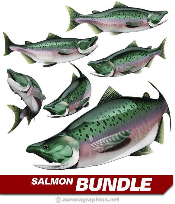 Salmon