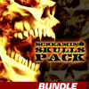 Screaming Skulls Pack - Aurora Graphics offers a wide variety of Skulls that are fully customizable to suit your every need. Customizable in many ways including making skull piles and artistic arrays. These Skulls are the way to go when you are creating vehicle wraps and print cut graphics. Each Custom Skull comes hi resolution and some with a Cut Contour, CutContour for easy output on wide format printing and cutting!