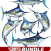 Striped Marlin