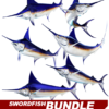 Swordfish