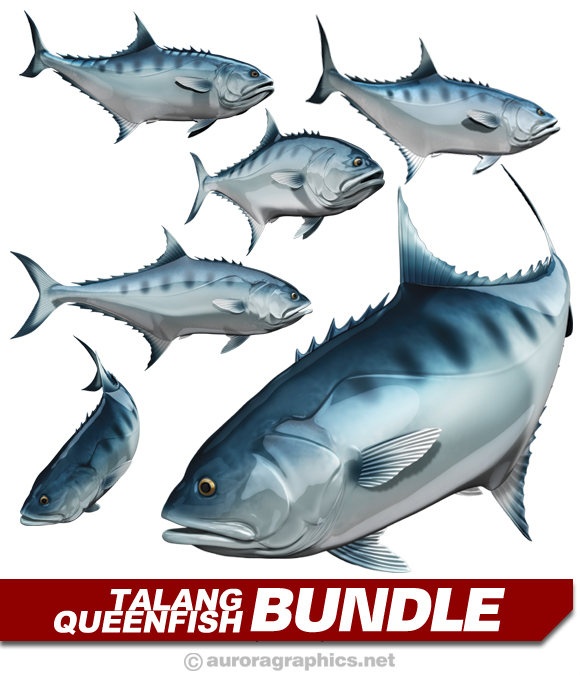 Talang Queenfish