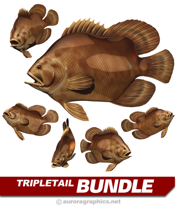 Tripletail