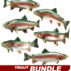 Trout