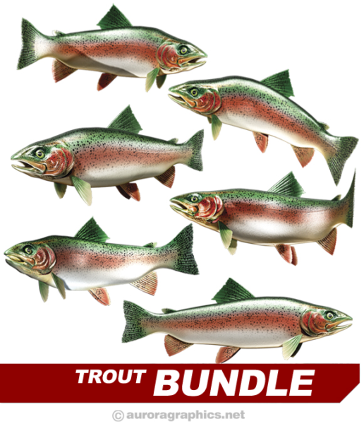 Trout