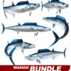 Wahoo