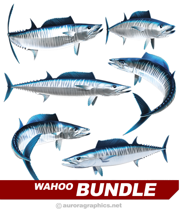 Wahoo