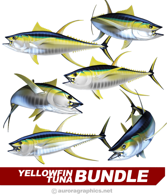 Yellowfin Tuna