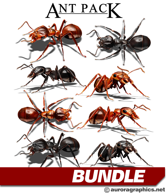 Ant Pack is a high-detail collection of eight ultra-realistic ant renders, featuring four black ants and four red ants, each captured from different angles for ultimate versatility. These images showcase the intricate anatomy of ants, from their segmented bodies and delicate legs to their powerful mandibles, making them perfect for eye-catching designs with a unique, nature-inspired or edgy aesthetic. Insects, Bugs, Pest Control, Exterminators. CutContour Graphics Cut Contour Design Cut File Print/Cut Print Cut.