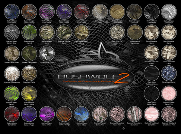 Aurora Graphics