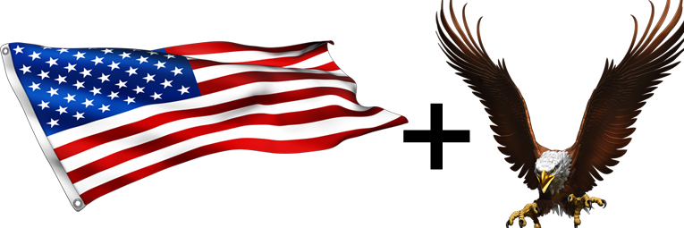 American Flag and Screaming Eagle