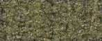 Bushwolf Bass Camo