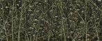 Bushwolf Fish Camo Bundle Crappie