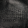 Raw Alligator Hide - FREE