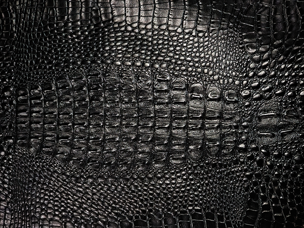 Raw Alligator Hide - FREE