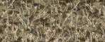 Bushwolf Obliteration Grass Hybrid Camo Camouflage Military Chameleon Grassland Tactical Field Patterns Non-repetitive Pattern