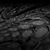 Ghost Hex is a captivating and mysterious image designed for large vehicle wraps, blending minimalist geometry, distorted with an eerie, otherworldly aesthetic. At its core lies a repeating pattern of hexagons rendered in a matte black finish. The subtle texture of the hexagons adds depth and sophistication while maintaining a stealthy, understated appearance. These geometric forms create a structured foundation, anchoring the design in modernity and order. Matte Black Ghosted, charcoal, Abstract, Hexagon, Pattern, abstract hexagons. High Resolution Design Graphics Image.