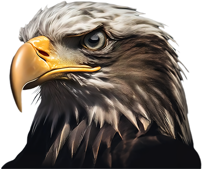 Bald Eagle - The General
