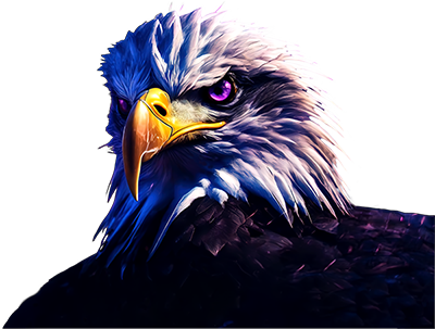 Bald Eagle - The Magician