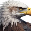 Bald Eagle - The Watcher