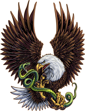 Eagle and Snake image is a striking and intense design perfect for large-scale vehicle graphics, tailgates, or window wraps. This dramatic artwork captures a moment of raw, untamed power and primal conflict. An American Bald Eagle, a timeless symbol of freedom and strength, dominates the scene with its talons firmly clutching a coiled snake. The eagle's piercing gaze and outstretched wings exude fierce determination, while its powerful talons grip the serpent with unwavering control. American Bald Eagle, coiled snake. Window graphic. CutContour Graphics Cut Contour Image.